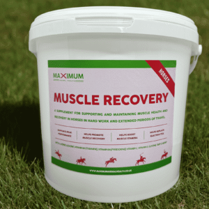 Max Muscle Recovery with Electrolytes